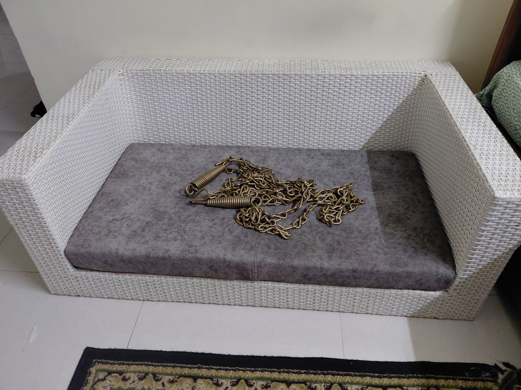 Sofa cum jhula - Image 3