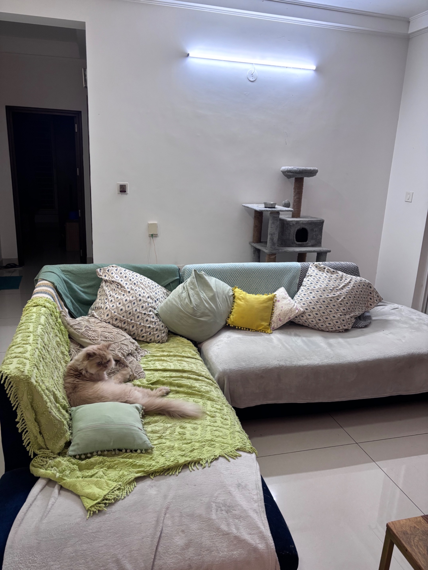 3 Year Old Custom Made L Shaped Sofa ( 5-6  Seater) - Image 1