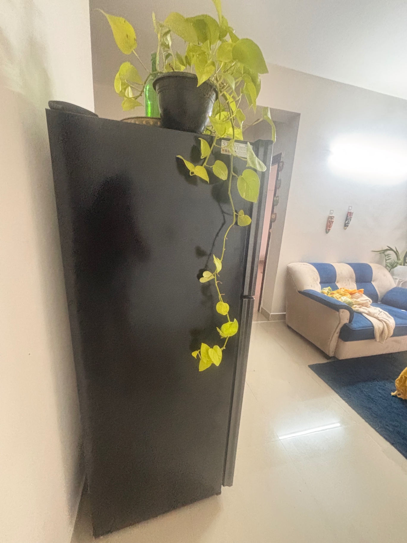 Samsung 236 L Frost Free Refrigerator – 12 Months Old - Image 3