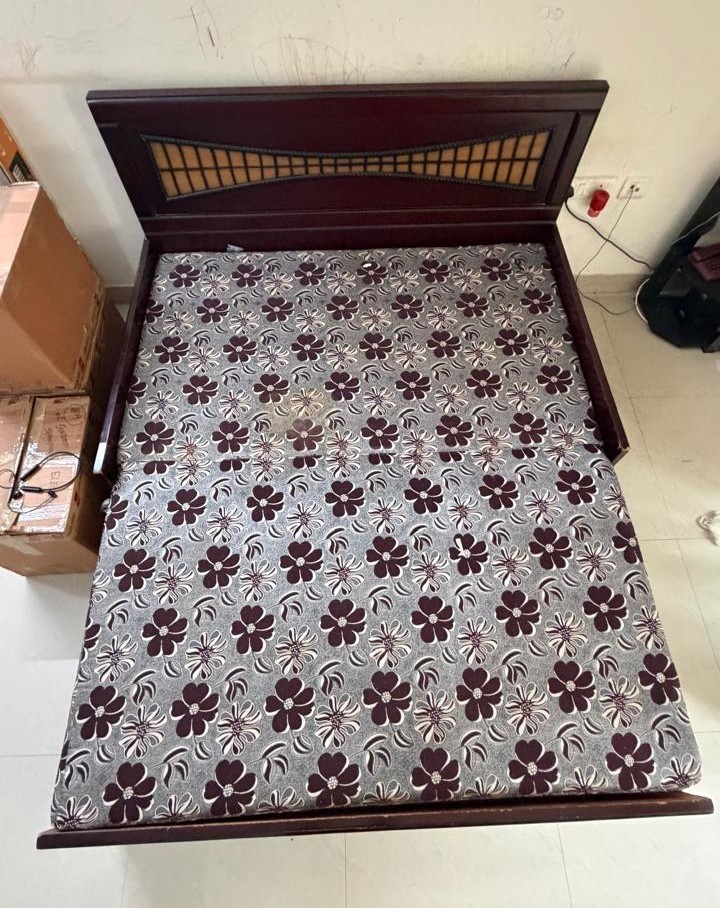 Sofa cum Bed - Image 2