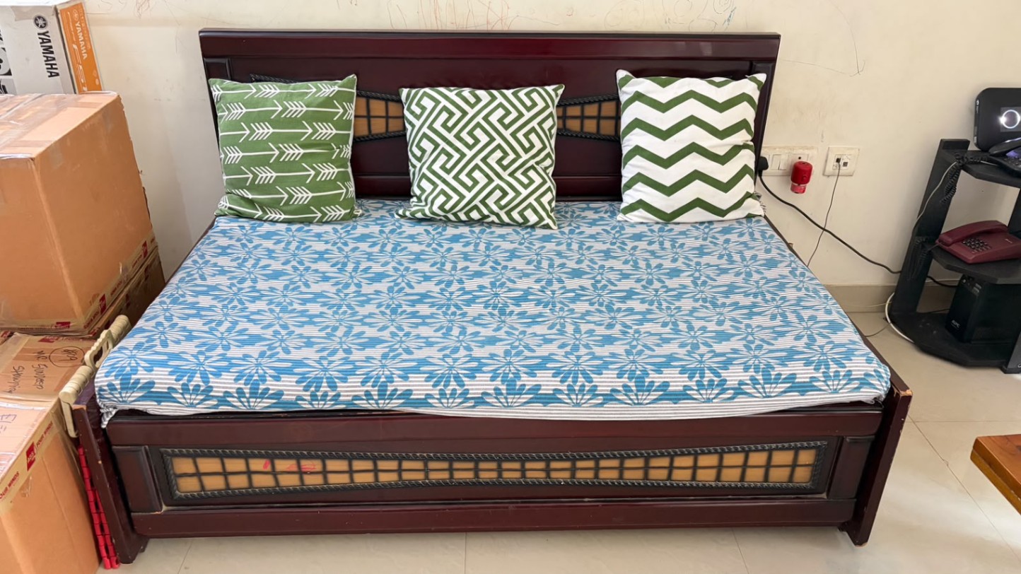 Sofa cum Bed - Image 1