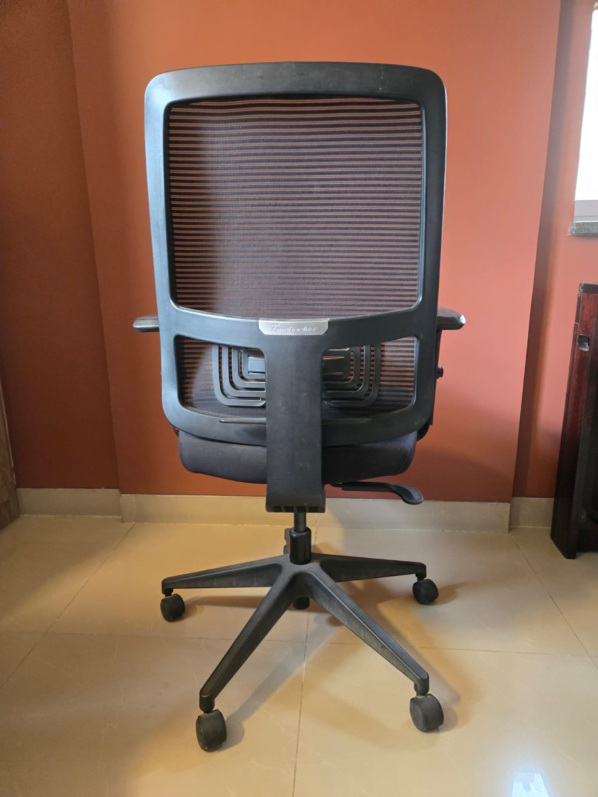 Featherlite Ergonomic Mesh Chair - Immediate Sale - Image 1